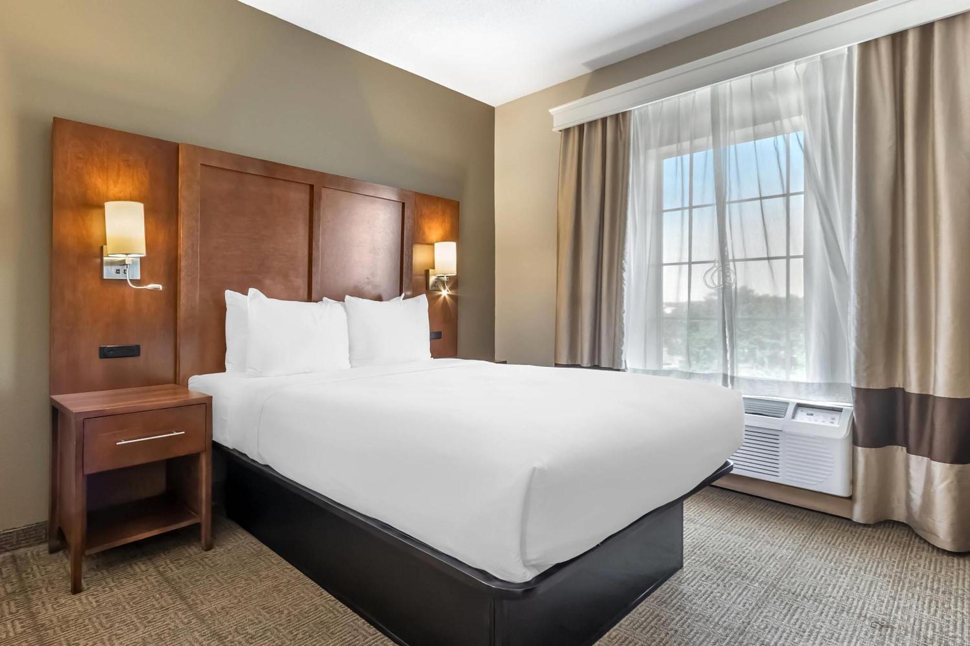 Queen Suite - Disability Access/Non-Smoking,1675812269:JPEG